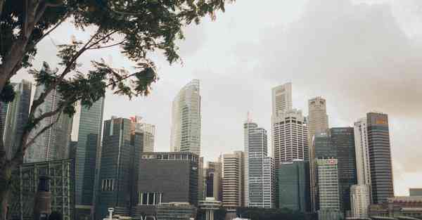 机器人智能点餐送餐推出