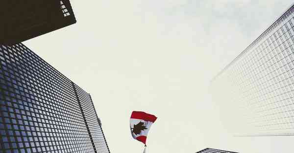 AI绘画对于传统艺术的冲击（AI绘画可以代替传统艺术吗）