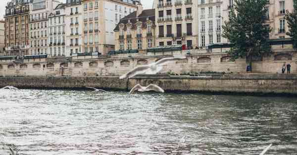 智能机器人管家创新点