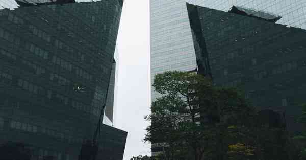 智能脚本机器人 元气骑士前传智能脚本