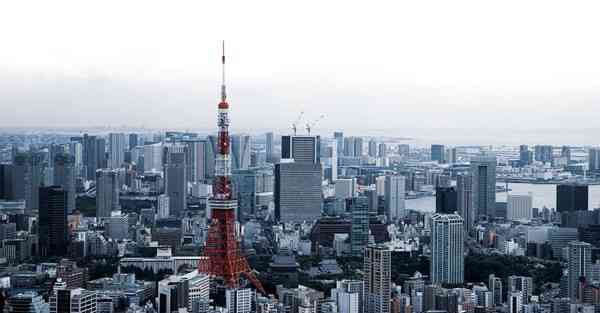 AI绘画不能看手指（AI绘画软件哪个好用）