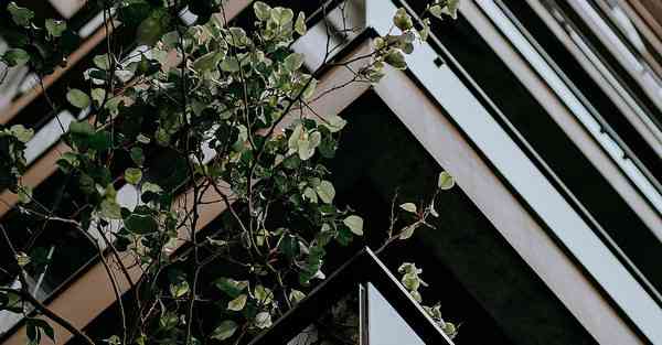 大数据分析的数学基础