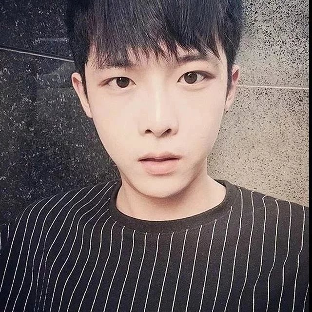 燕烟莲韦