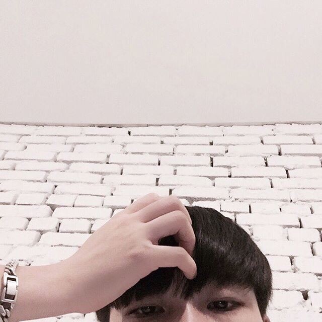 陆玲芝萍