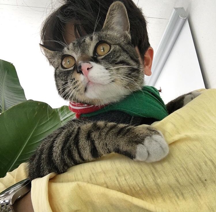 汤毅鹏朗