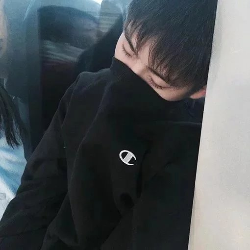 司徒凡林辰
