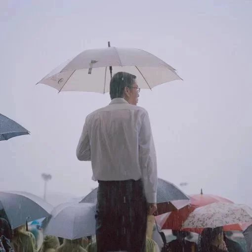 湛群涛舒