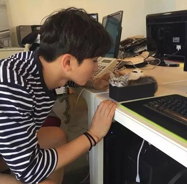 王秀珍言